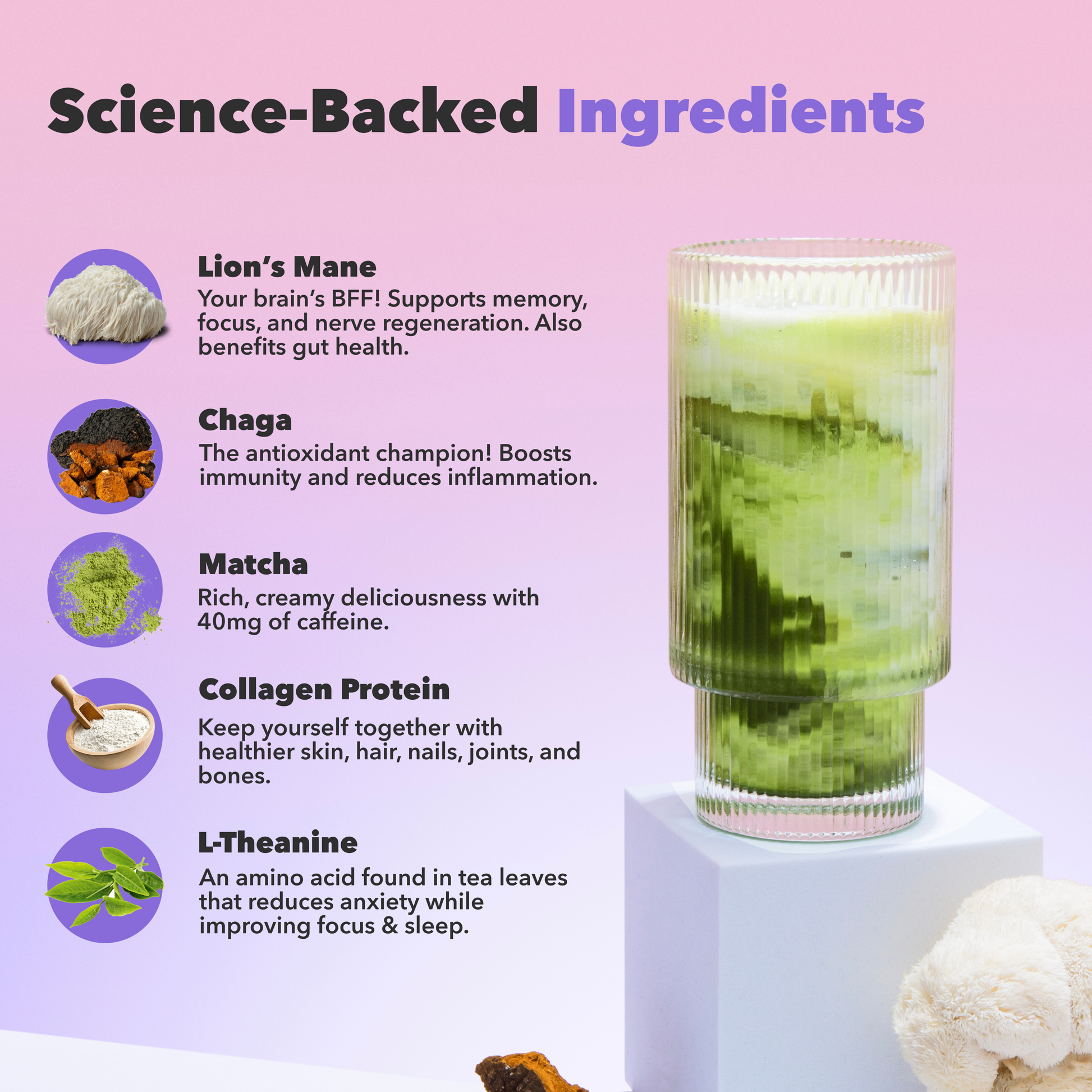 30-servings-mushroom-matcha-a5 custom_resized_386f63f8-0691-449c-9e51-462fed6c0033.png